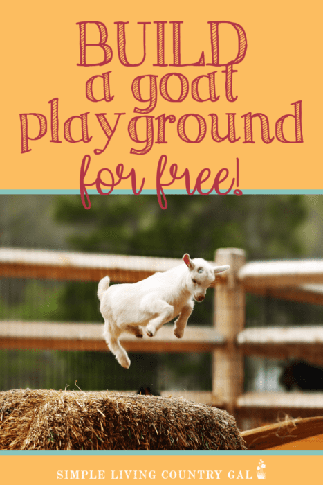 Homestead Blog Hop Feature - Build a Goat Playground for Free
