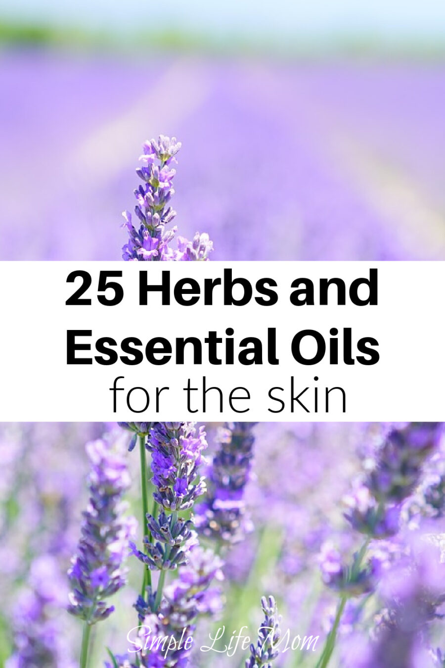 Natural organic, herbal skin care created by using herbs and essential oils. I give you 25 different herbs and essential oils to use for various skin conditions