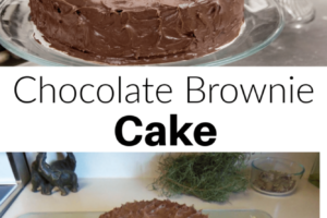 Chocolate Brownie Cake - Birthday fun or everyday special cake