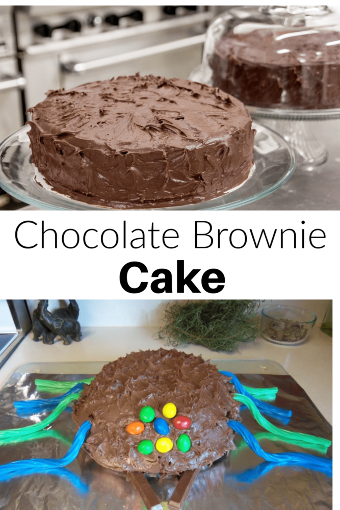 Chocolate Brownie Cake - Birthday fun or everyday special cake