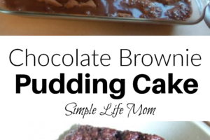 Chocolate Pudding Cake Recipe from Simple Life Mom