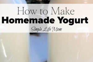 How to Make Homemade Yogurt from Simple Life Mom