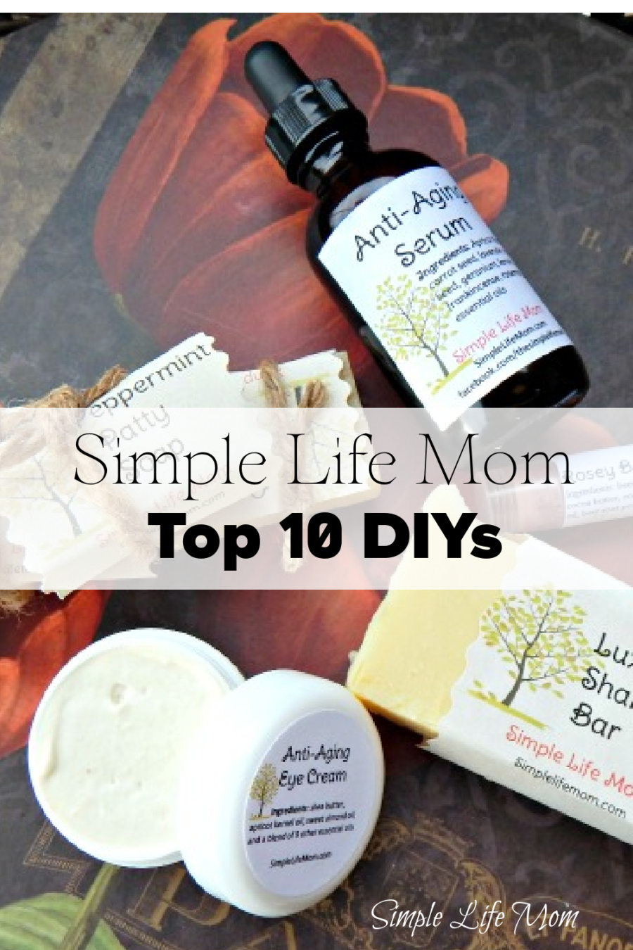 Top 10 DIYs from Simple Life Mom