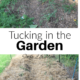 Tucking In The Garden – Winterizing