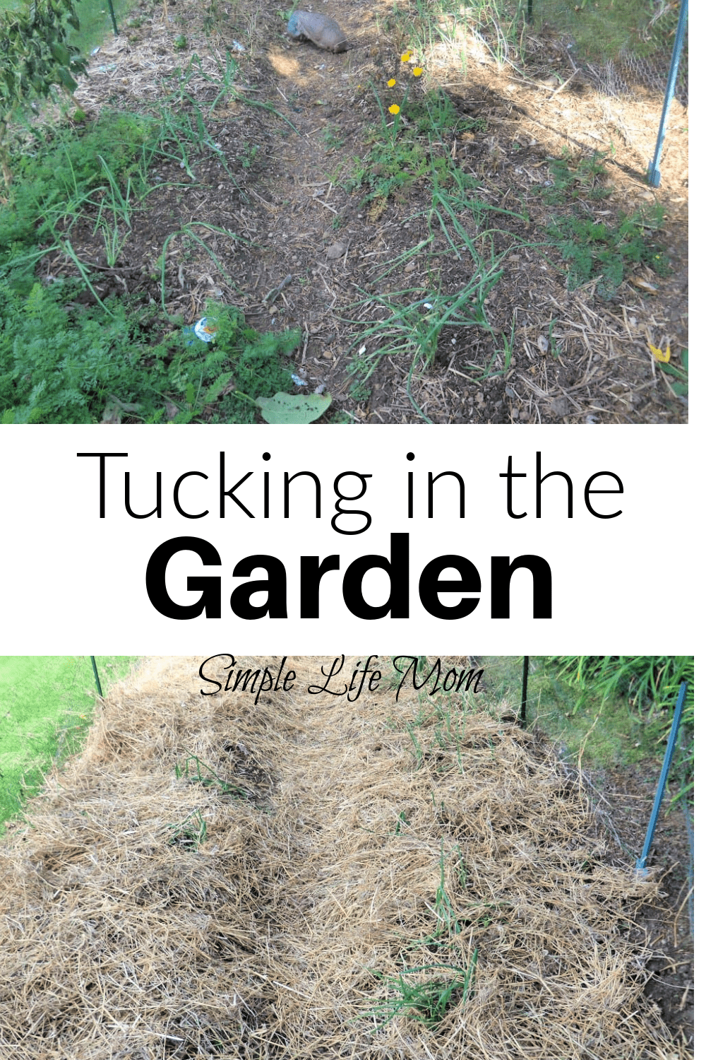 Tucking In The Garden – Winterizing - Simple Life Mom