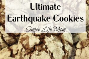 Ultimate Earthquake Cookies from Simple Life Mom