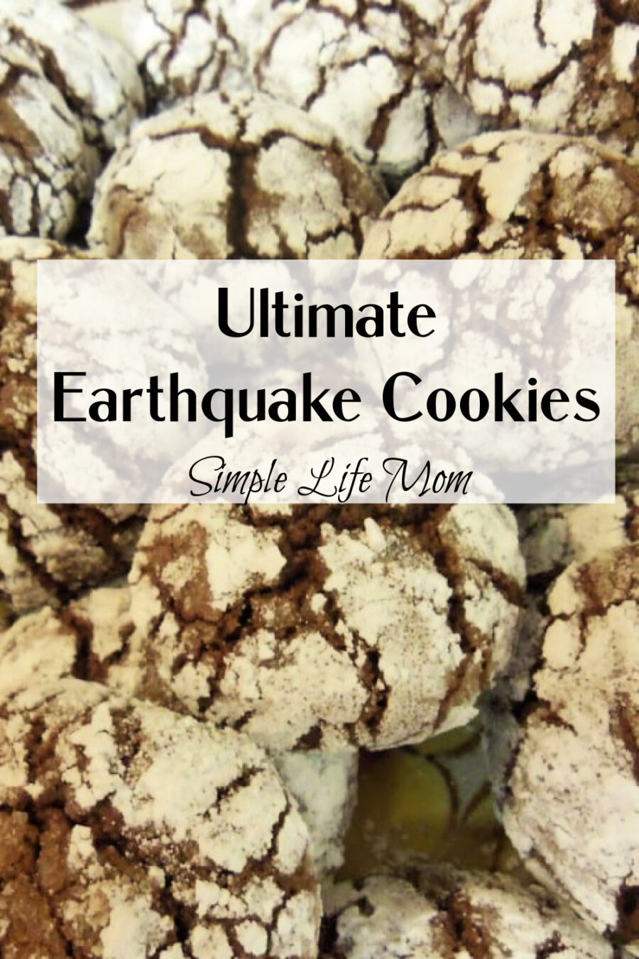 Ultimate Earthquake Cookies from Simple Life Mom