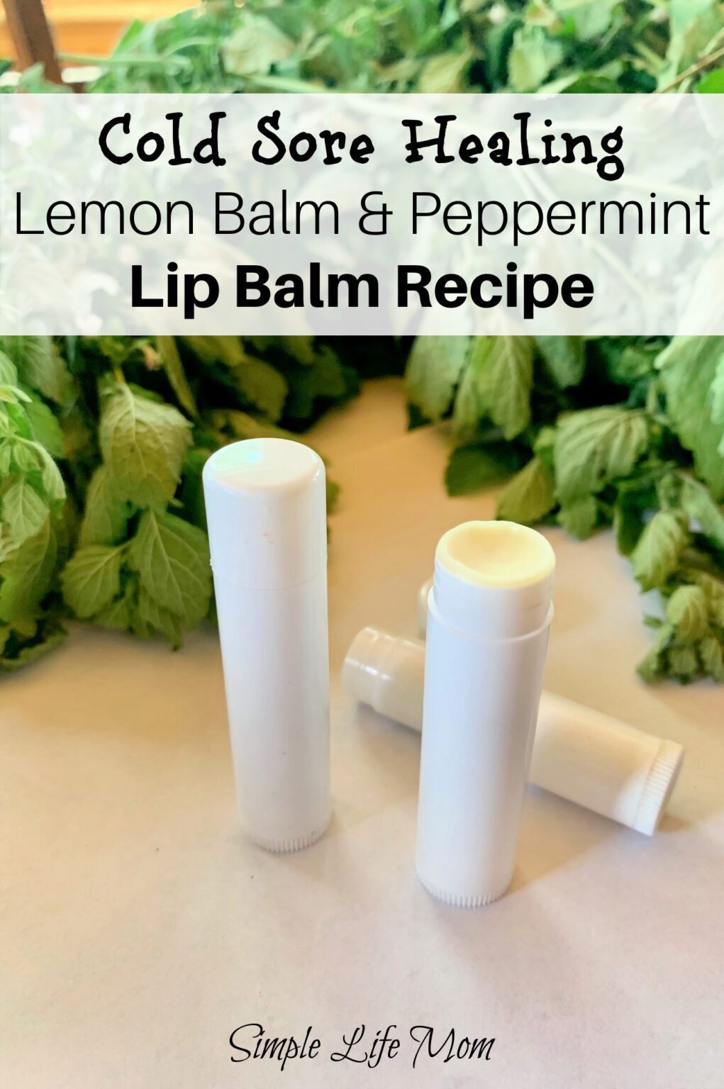 How to Make Healing Cold Sore Lip Balm - Simple Life Mom