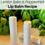 Cold Sore Lip Balm with lemon balm and peppermint from Simple Life Mom