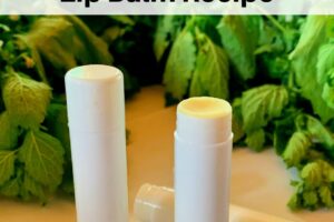 Cold Sore Lip Balm with lemon balm and peppermint from Simple Life Mom
