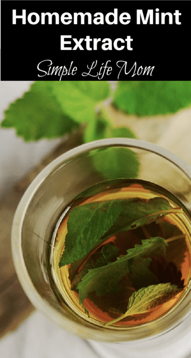 Make Mint Extract - easy, homemade, and only takes one month to steep