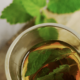 Learn How to Make Mint Extract at Home
