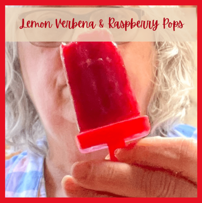 Homestead Blog Hop Feature - Lemon Verbena Tea and Raspberry Ice Pops