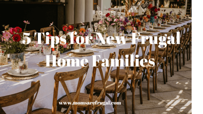 Homestead Blog Hop Feature - 5 Tips for New Frugal Home Families