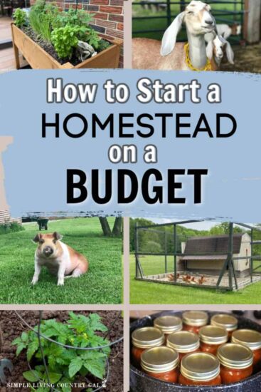 Homestead Blog Hop Feature - Homesteading on a Budget