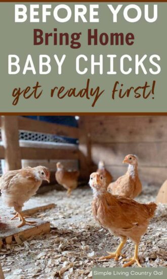 Homestead Blog Hop Feature - How to Prepare for Chickens
