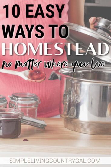 Homestead Blog Hop Feature - 10 Easy Ways to Homestead