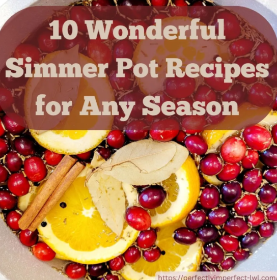 Homestead Blog Hop feature - 10 Wonderful Simmer pot Recipes