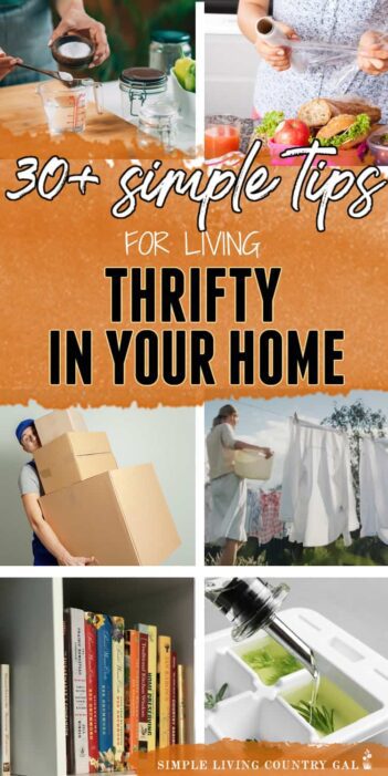 Homestead Blog Hop Feature - 30+ Simple Tips for Living Thrifty