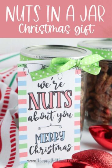 Homestead Blog Hop Feature - Nuts n a Jar Christmas Gift DIY