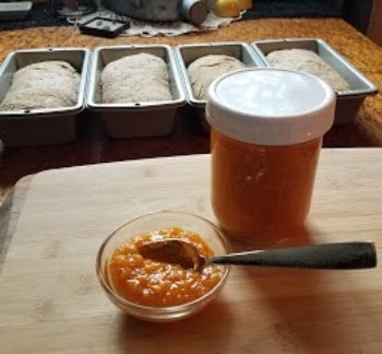Homestead Blog Hop Feature - Fresh Tangerine Marmalade small batch, no canning