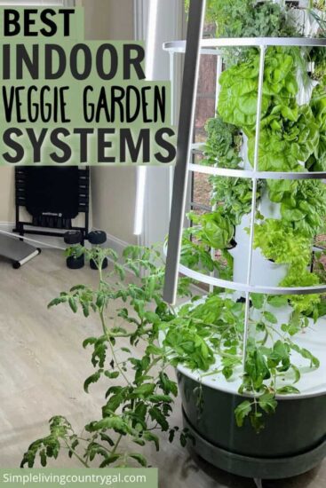 Homestead Blog Hop Feature - Best Indoor Veggie Garden System