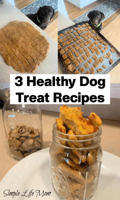 how to Make 3 Homemade Dog Treats - Easy, Frugal dog treats from Simple Life Mom