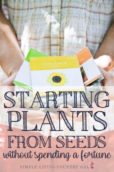Homestead Blog Hop Feature - Starting Plants from Seeds