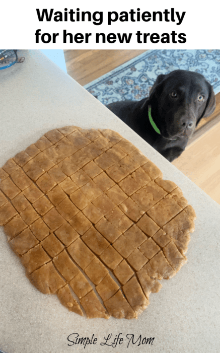 how to Make 3 Homemade Dog Treats - Easy, Frugal dog treats from Simple Life Mom