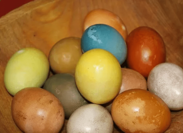 Homestead Blog Hop Feature - Naturally Dyed Easter Eggs