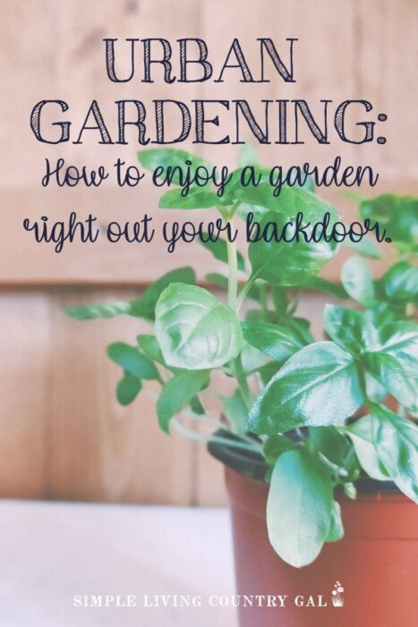 Homestead Blog Hop Feature - Urban Gardening Tips