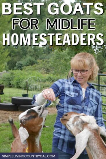 Homestead Blog Hop Feature - Best Goats for Beginners