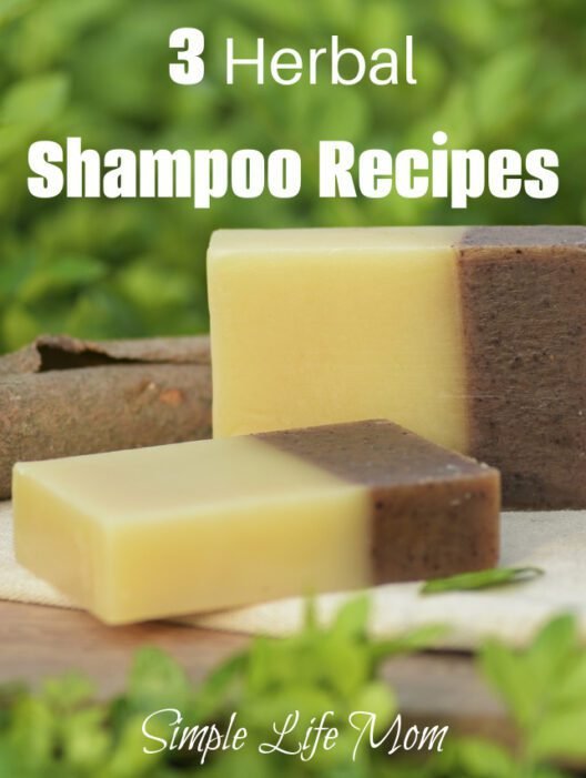 3 Easy Summer Herbal Shampoo Recipes - hot processed with nettle, hibiscus, holy basil and essential oils from Simple Life Mom