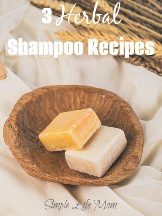 3 Easy Summer Herbal Shampoo Recipes - hot processed with nettle, hibiscus, holy basil and essential oils from Simple Life Mom