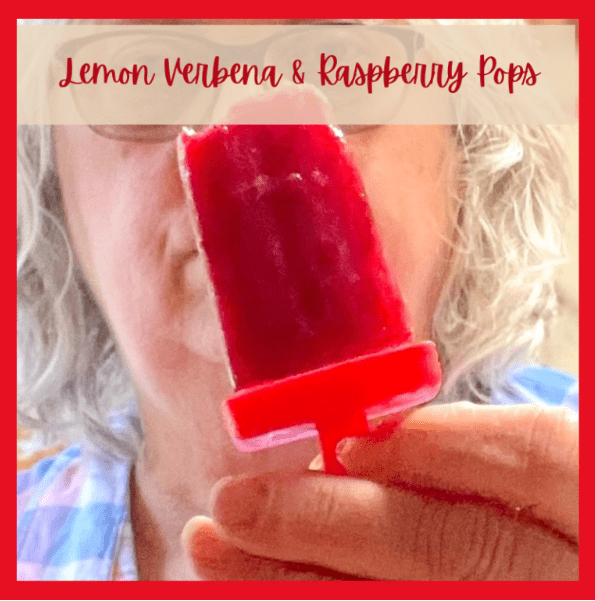 Homestead Blog Hop Feature - Lemon Verbena Tea Raspberry Ice Pops