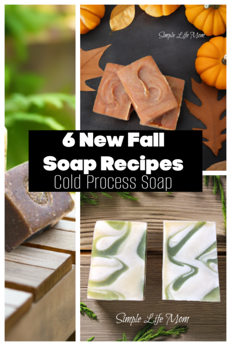 6 New Fall Soap Recipes for You to Try  - Cranberry Pumpkin, Mocha Vanilla and more cold process soap recipes from Simple Life Mom