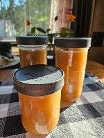 Homestead Blog Hop Feature - Whole Fruit Organic Applesauce