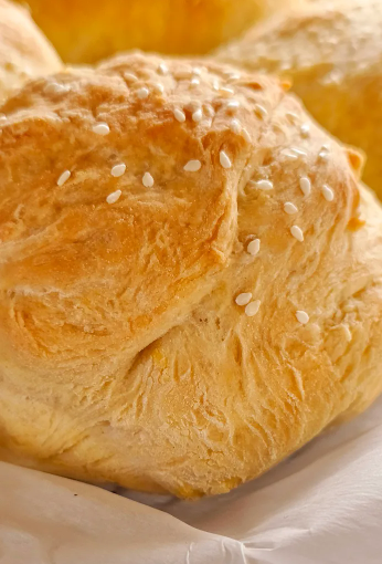 homestead blog hop feature - homemade hamburger buns