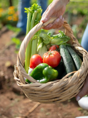 Homestead Blog Hop Feature - Start Your Garden This Weekend