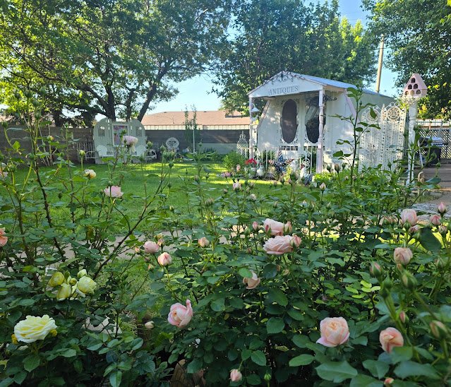 Homestead Blog Hop Feature - Rose Garden