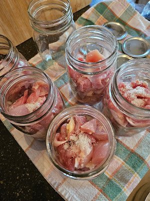 Homestead Blog Hop Feature - The Truth About Pressure Cookers