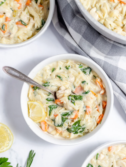 Homestead Blog Hop Feature - Creamy Chicken Orzo Soup