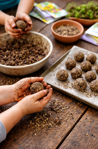 Homestead Blog Hop Feature - Seed Bombs Simple Spring Project