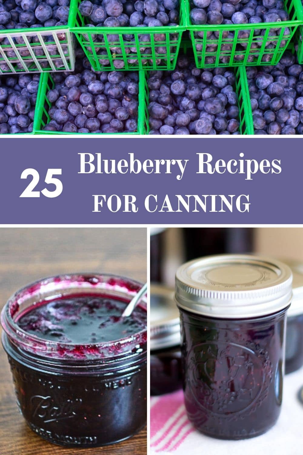 Homestead Blog Hop Feature - Blueberry Recipes for Canning