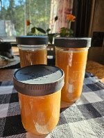 Homestead Blog Hop Feature - Whole Fruit Organic Apple Sauce