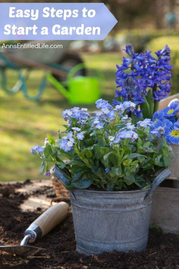 Homestead Blog Hop Feature - Easy Steps to Start a Garden