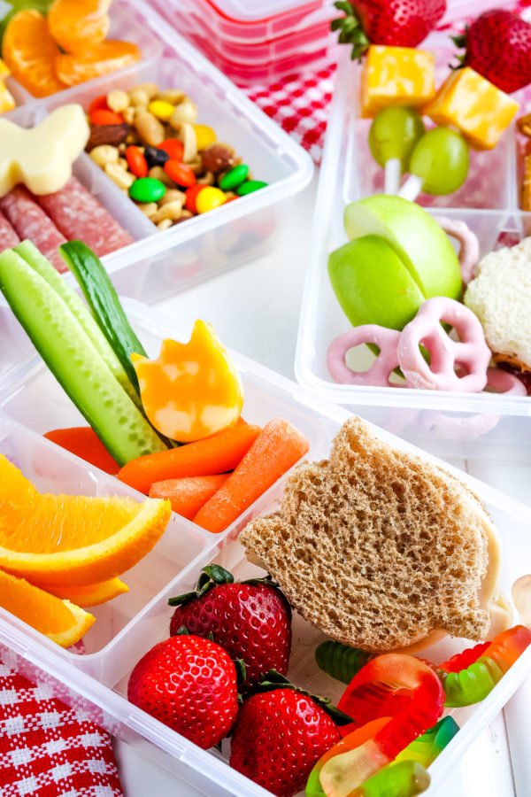Homestead Blog Hop Feature - Easy Back to School Lunch Ideas