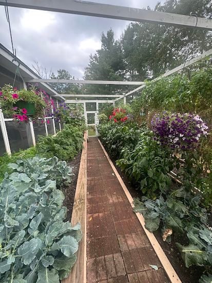 Homestead Blog Hop Feature - End of Summer Vegetable Garden