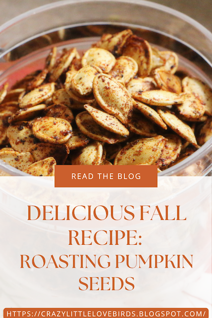 Homestead Blog Hop Feature - Roasting Pumpkin Seeds